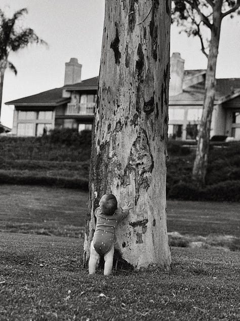 baby boy in nature, with mama, & daddy.
