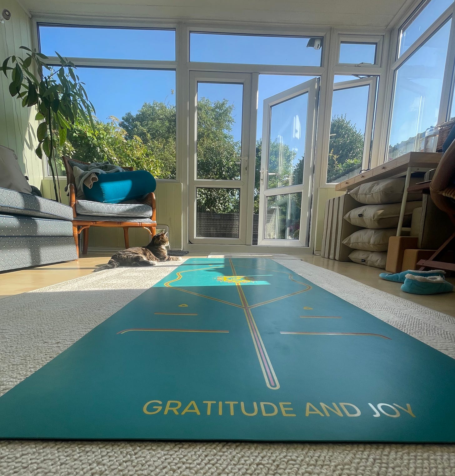 A yoga mat and a tabby cat