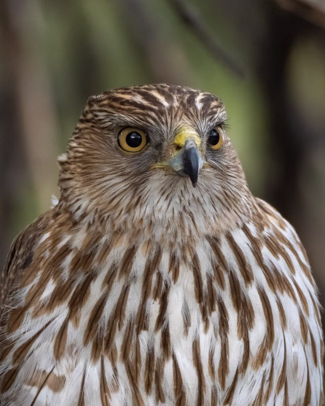 20250315-Sweetwater-605-Edit.jpg 20250315-Sweetwater-605-Edit.jpg