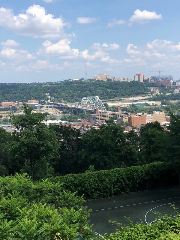 View of Birmingham Bridge and Oakland from the Winters Park.