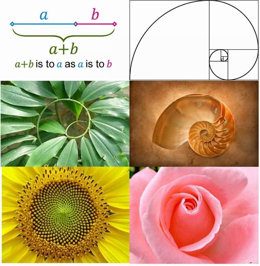 phi fibonacci phi fibonacci