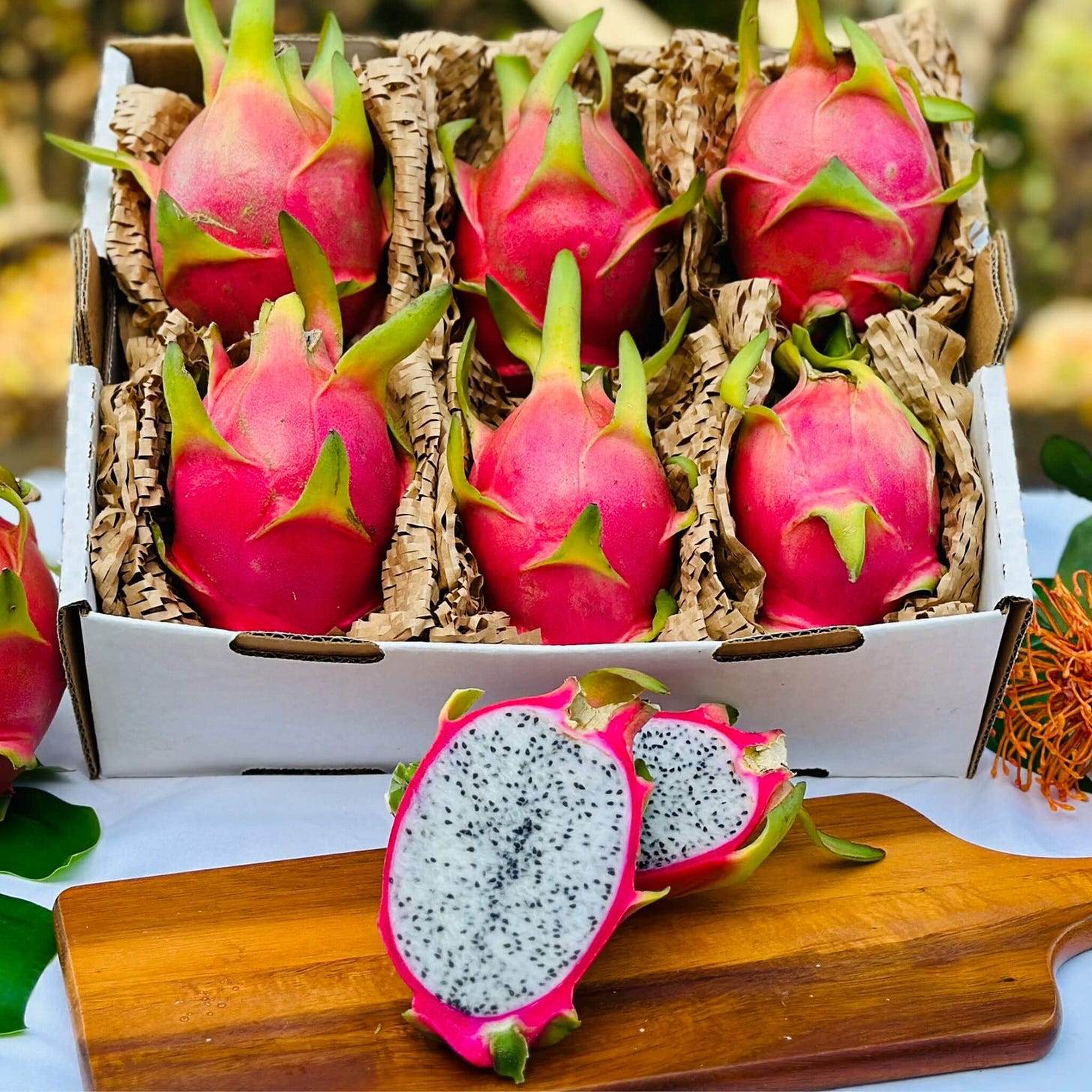 White Dragon Fruit