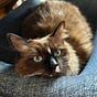 Kimberly K.'s avatar