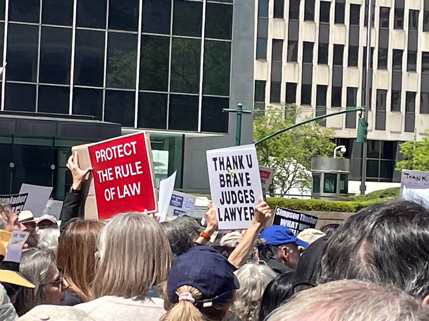 Protest signs - Protect the Rule of Law - Thank You Brave Judges and Lawyers