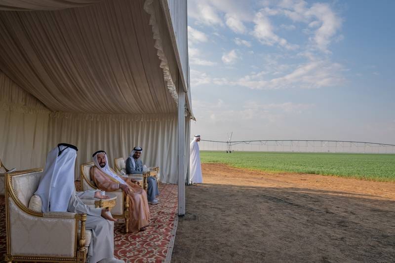 Sheikh Dr Sultan bin Muhammad Al Qasimi, Ruler of Sharjah, visits a wheat farm in Mleiha on Sunday. All photos: Sharjah Government / Wam Sheikh Dr Sultan bin Muhammad Al Qasimi, Ruler of Sharjah, visits a wheat farm in Mleiha on Sunday. All photos: Sharjah Government / Wam