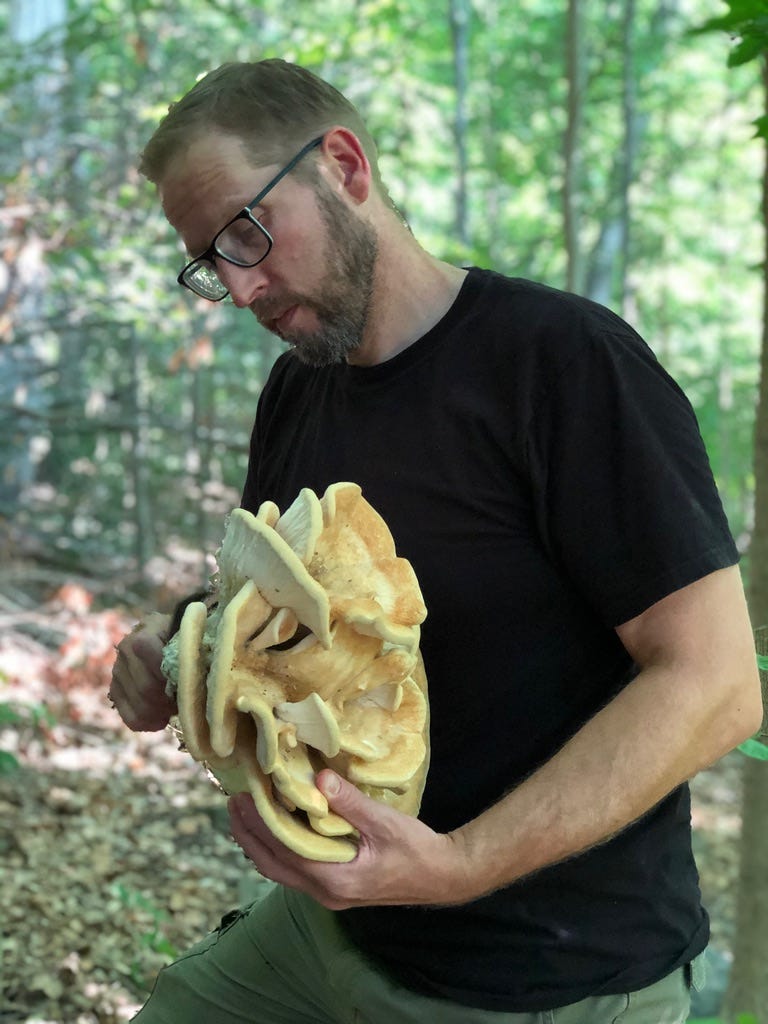 A person holding a large mushroom

AI-generated content may be incorrect.