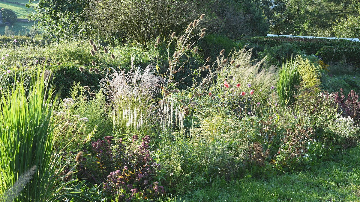 10 Concerns about planting in gravel gardens and other aggregates