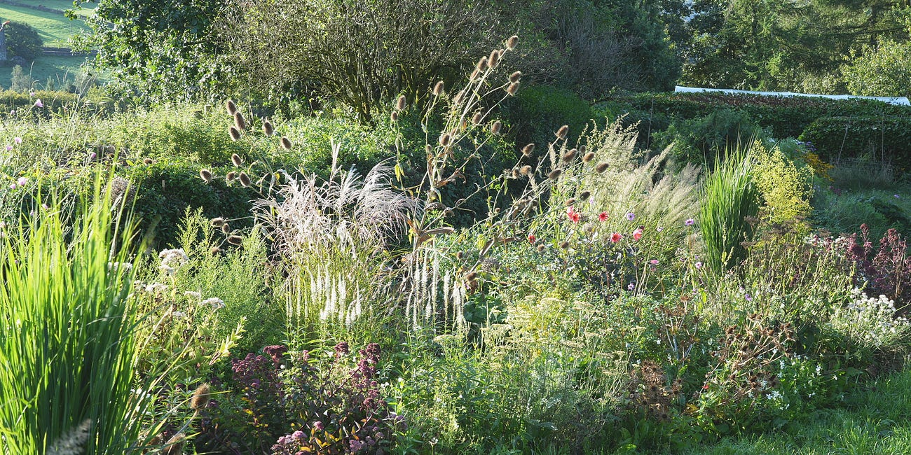 10 Concerns about planting in gravel gardens and other aggregates