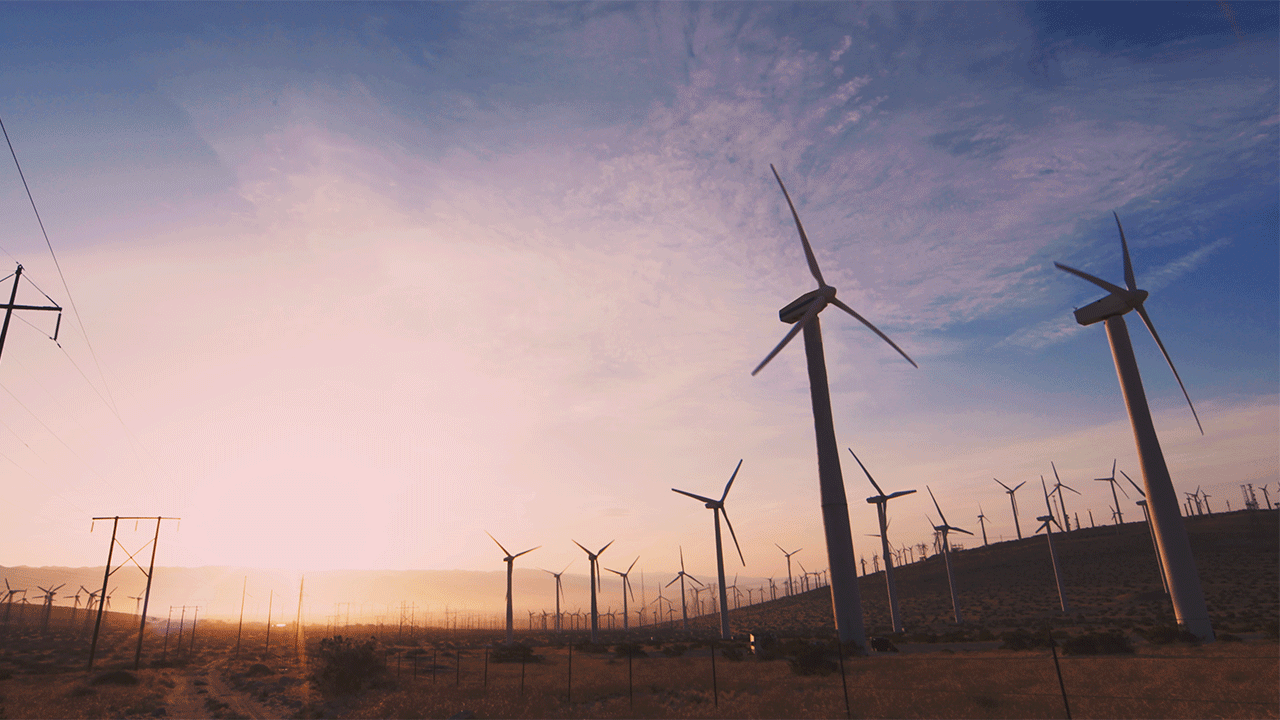 Gif animado de um catavento de energia eólica girando sozinho, sem parar, em um campo cheio deles