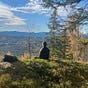 Micro Mindful's avatar