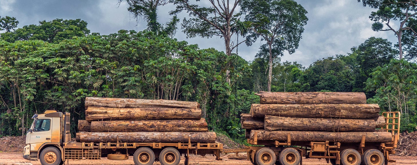 Image of large tree logs on a truck, deforestation, and ecology