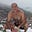 Peter Defty's avatar
