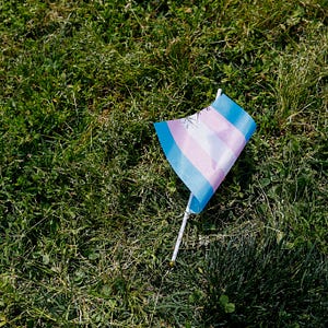 Letters to the Editor: The Fight over Conversion Therapy