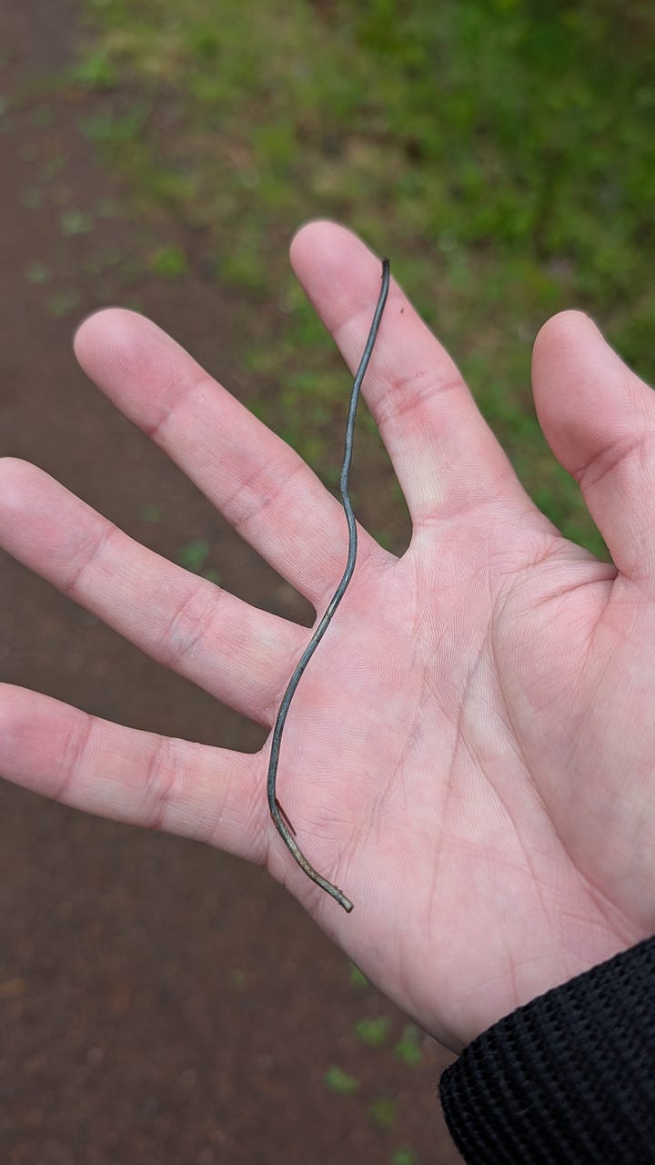 Open hands holding metal objects picked up off the ground.