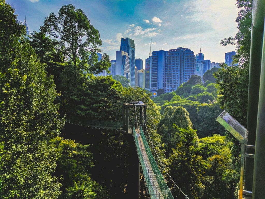 Bukit Nanas Park Bukit Nanas Park