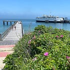 🏡 How to Be a Great Host When You Invite Guests to Martha’s Vineyard