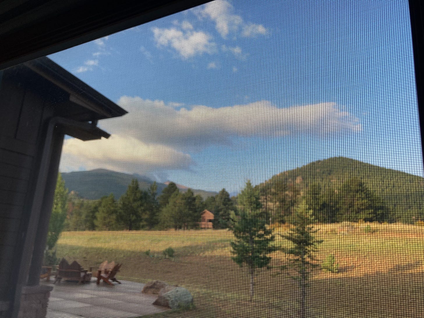 room view
