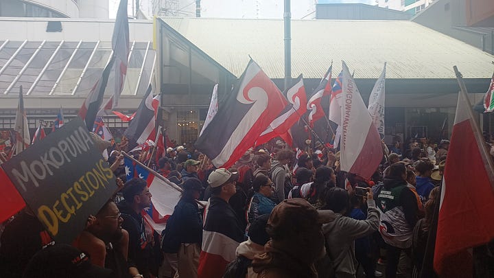 Protesters in Wellington