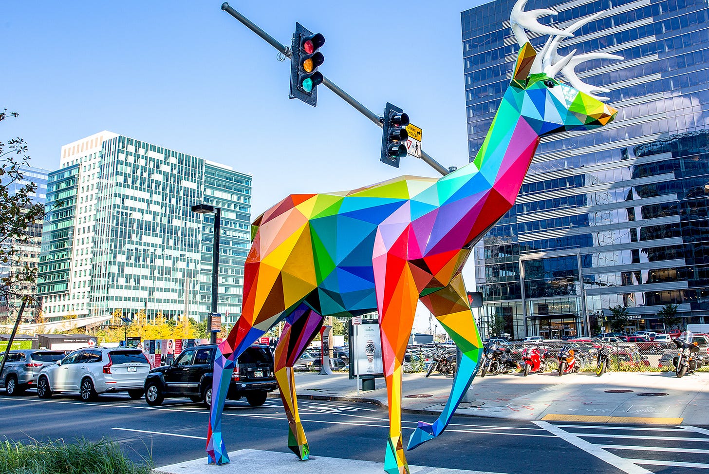 Boston Seaport | Diversity: Wild