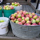 The Apple Wine Odyssey and the Failure of Capitalism
