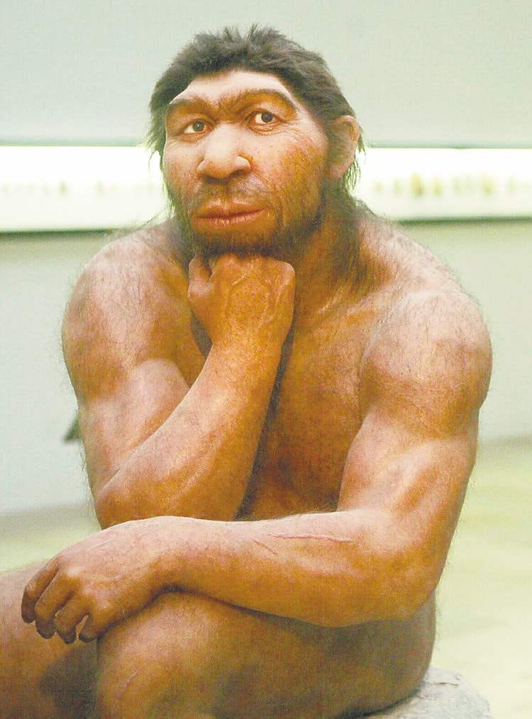 Neanderthals have a new relative – Winnipeg Free Press Neanderthals have a new relative – Winnipeg Free Press