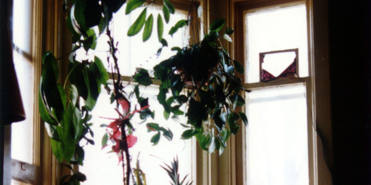 Sharon's Fridge and The Whole Point of Reading