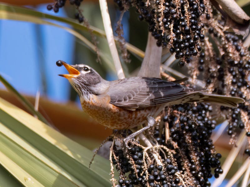 230104-misc-271-Edit.jpg 230104-misc-271-Edit.jpg