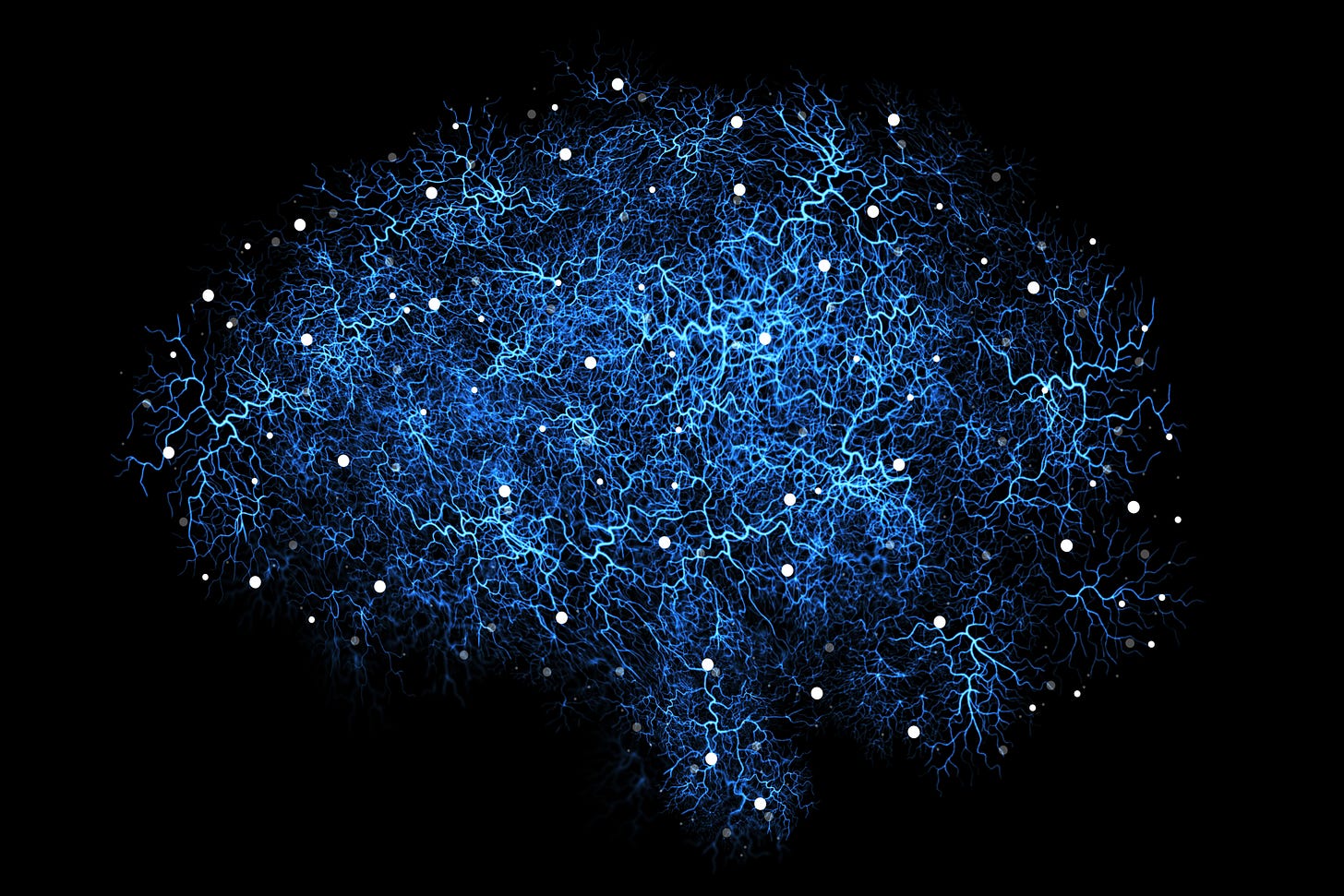 A rendering of a brain's neural pathways A rendering of a brain's neural pathways
