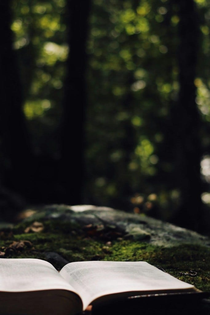 Story Consultations: A Supportive First Step for Authors Story Consultations: A Supportive First Step for Authors