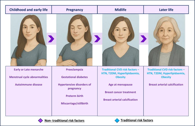 Risk factors change across the lifespan for women.