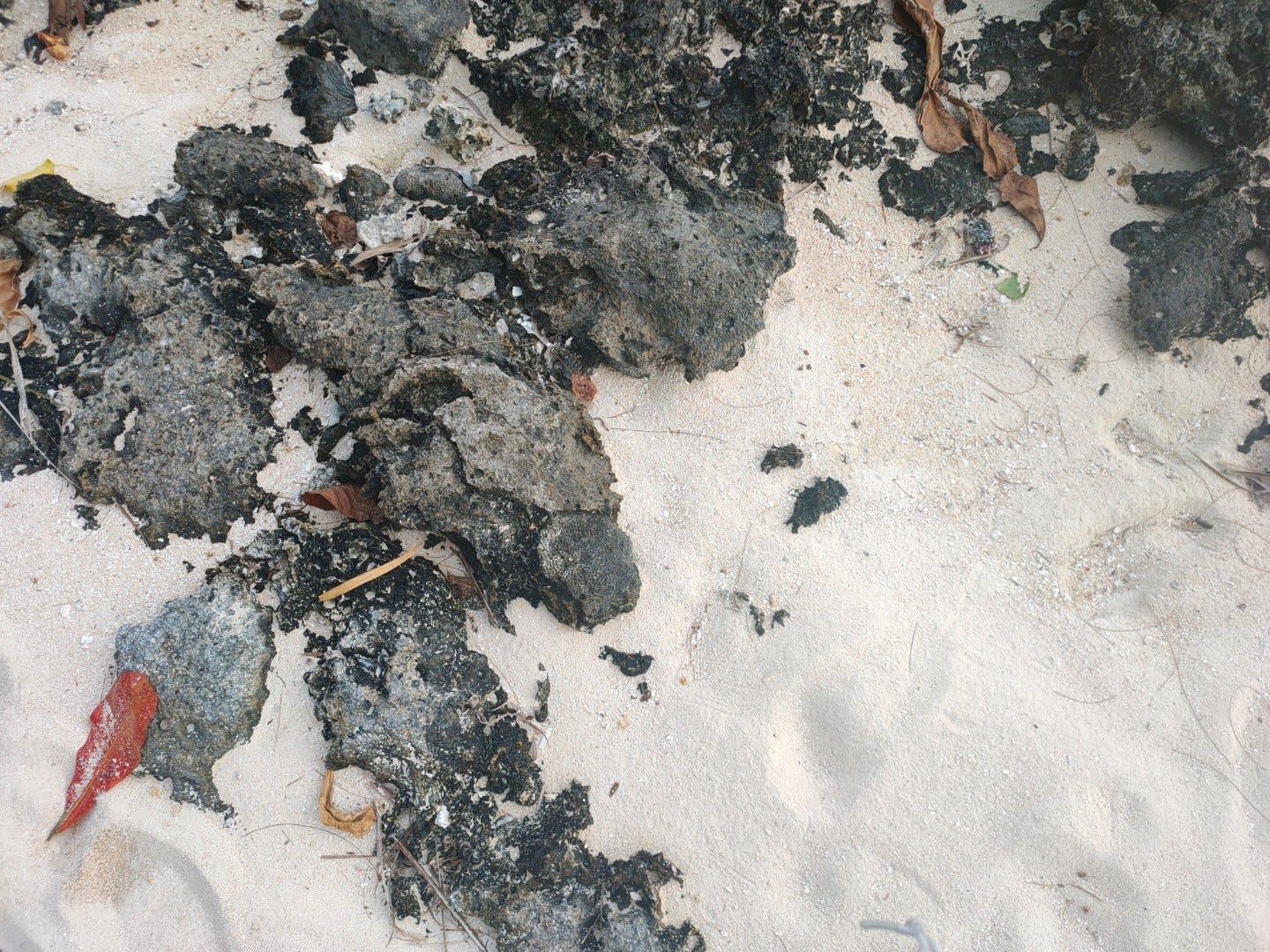 A picture of a a rocky shore covered in sand.