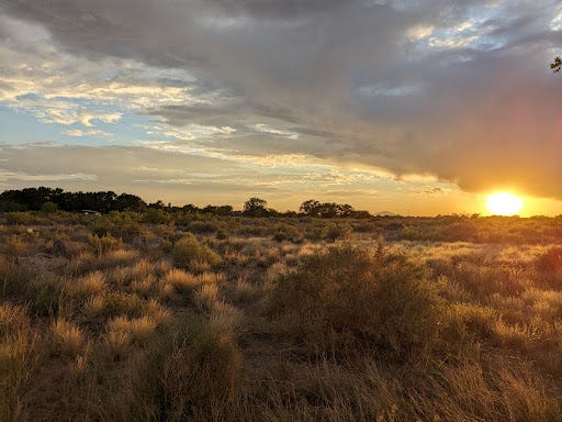 Two images. The left is of a field of desert grasses at sunset. The right is taken from inside a house. It shows an armchair in front of a tall window. Outside the window is a beautiful field of grass and shrubs.