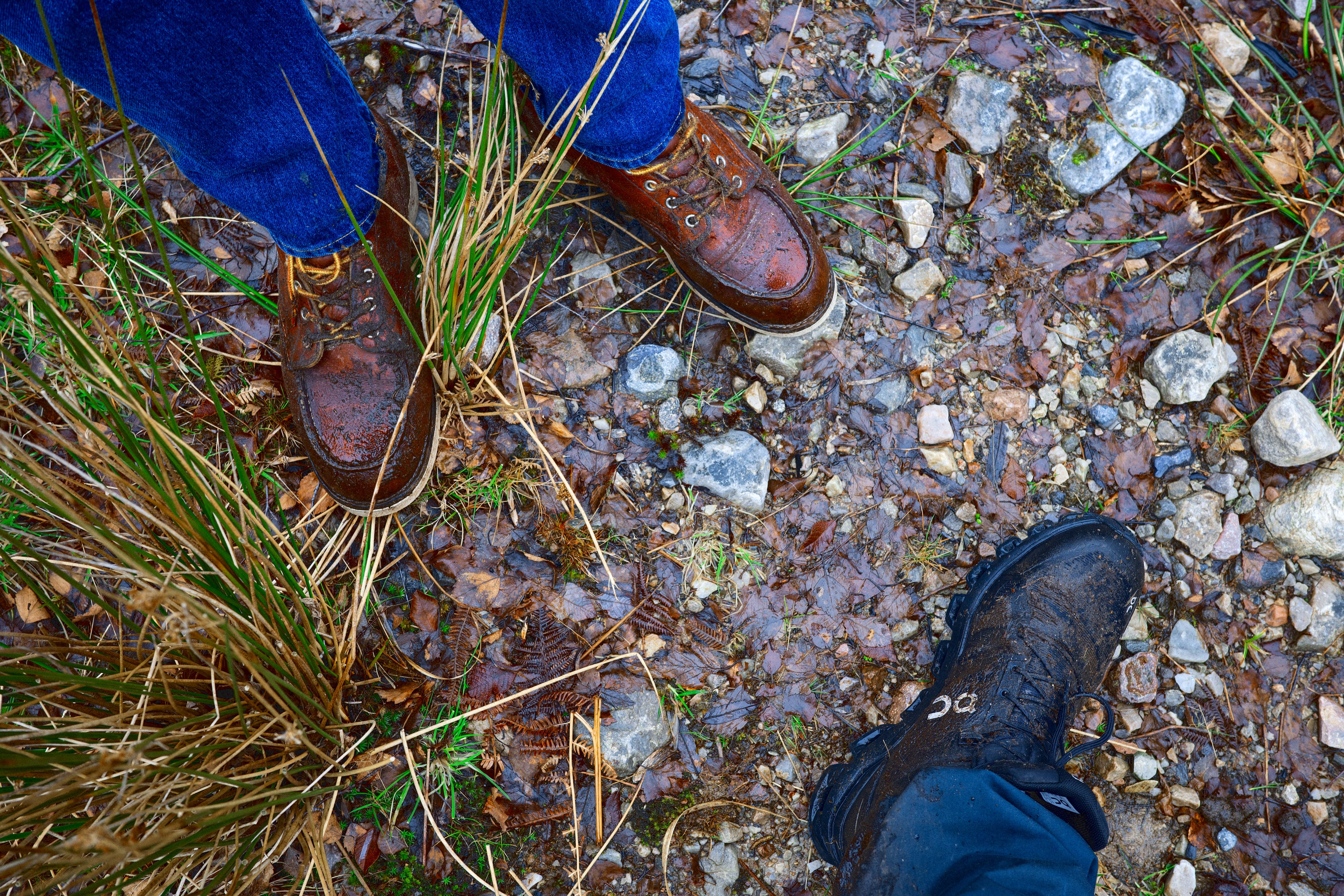 Tim en zijn gabbers in Schotland - De Wandelclub, image size:4000x2667
