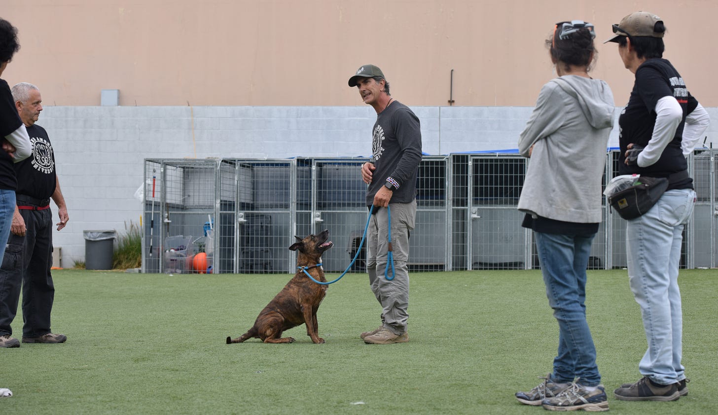 Robert Cabral holds a blue leash while working with a seated brown dog as several people watch in an outdoor training area.