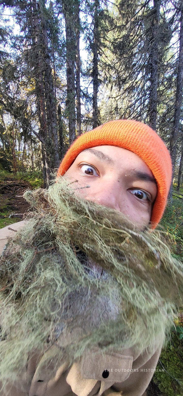Image 1: Eugene playfully holding a clump of light green "Old Man's Beard" lichen up to his face like a mustache. Image 2: A thick stand of boreal spruce and birch trees framing a bright blue patch of Lake Superior in the distance.