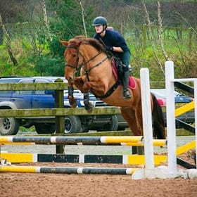 Good weather, good people and good horses and ponies at Ardnacashel