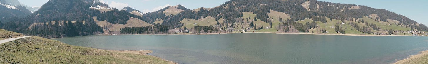 A 'BEA' Special: the must-see traditional Swiss agricultural fair