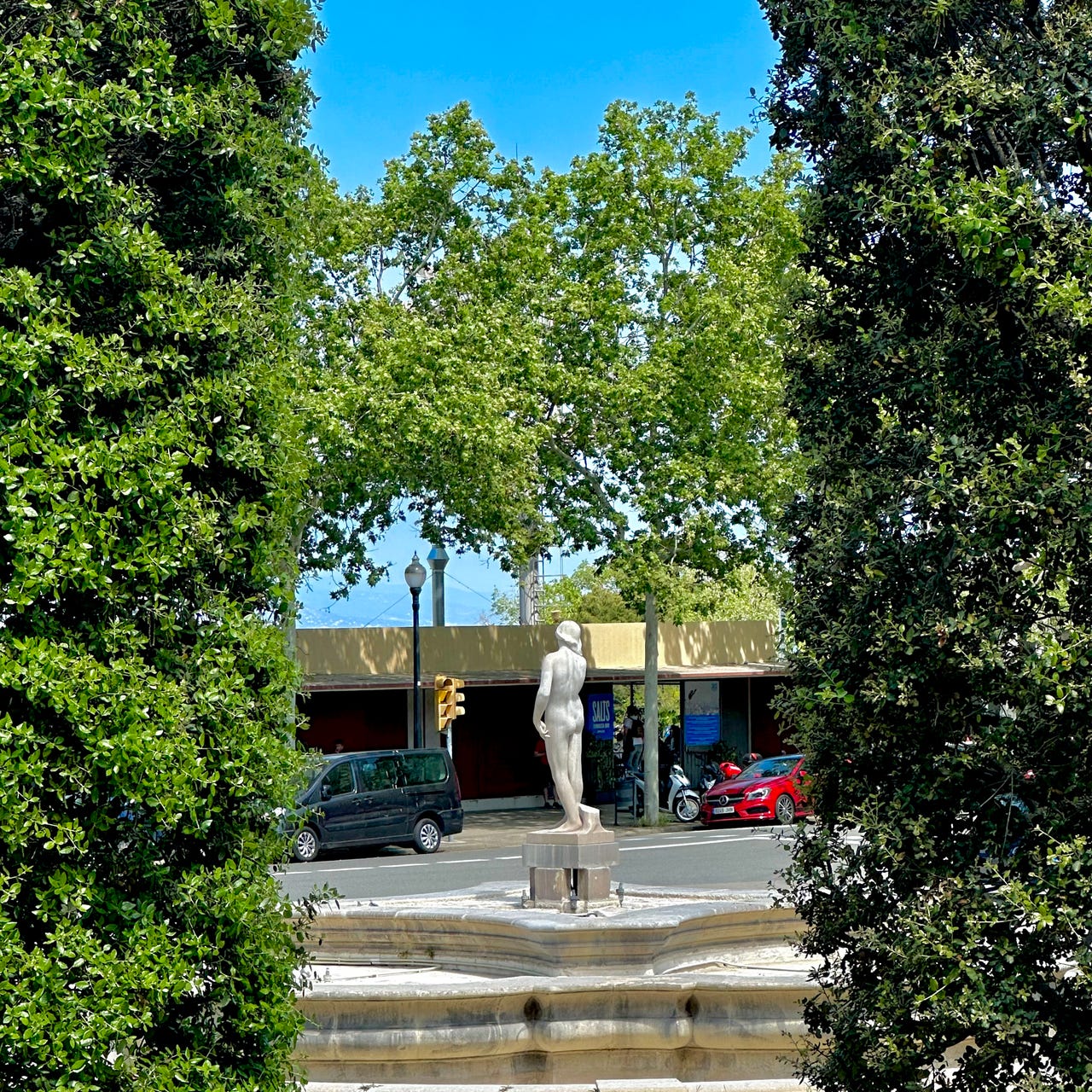 Sarah's School of Thought