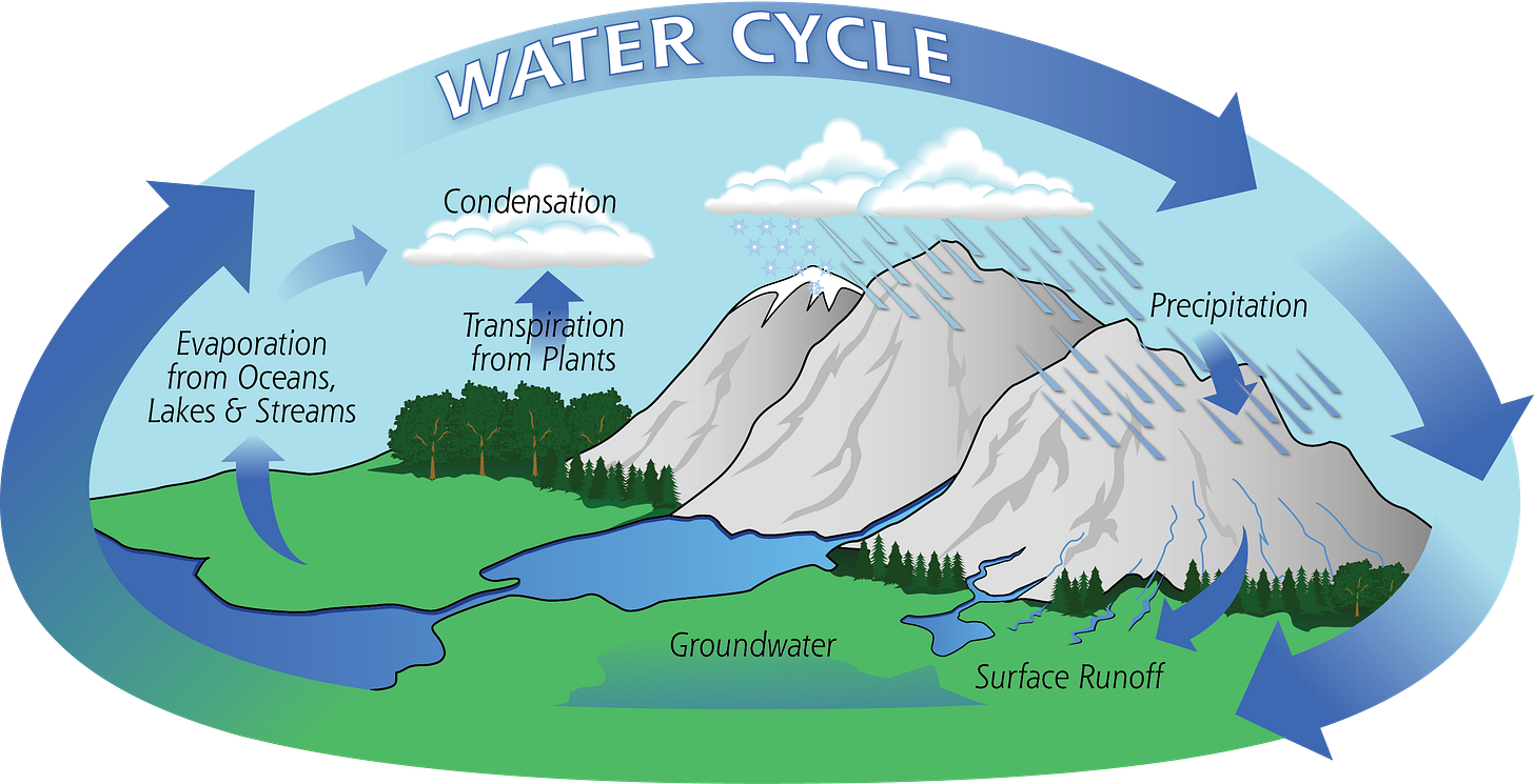 The Water Cycle | Precipitation Education