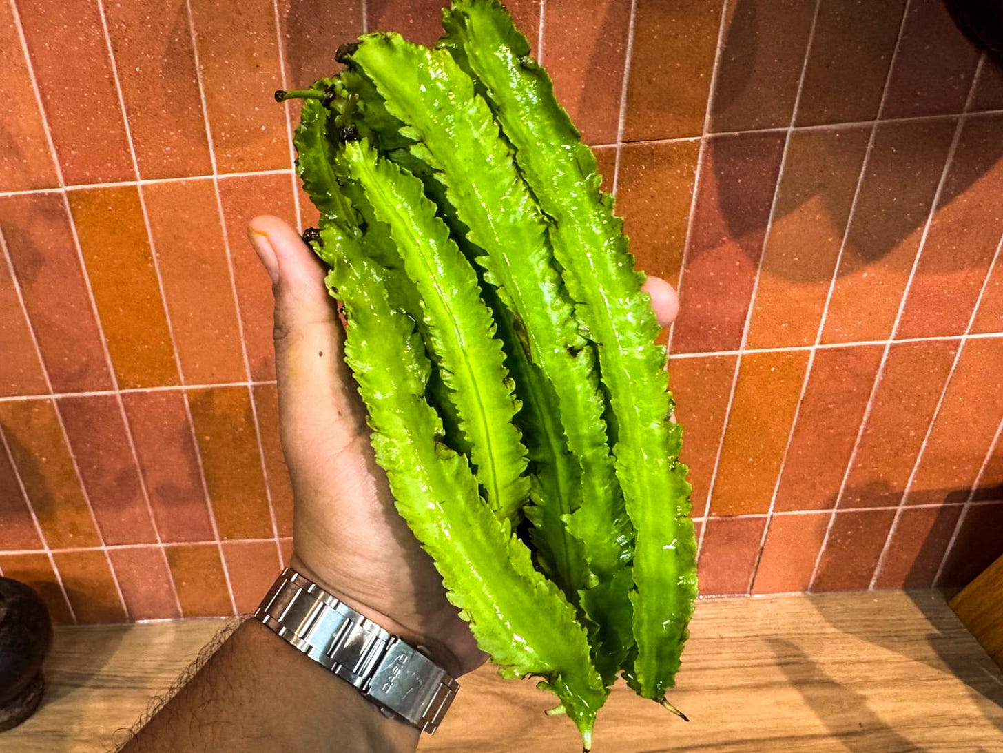 kacang botol being held up