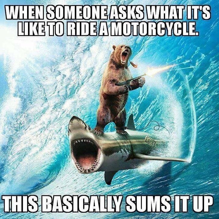 30 Hilarious Motorcycle Memes That Will Make You Screech With Laughter -  Vagabondesss.com