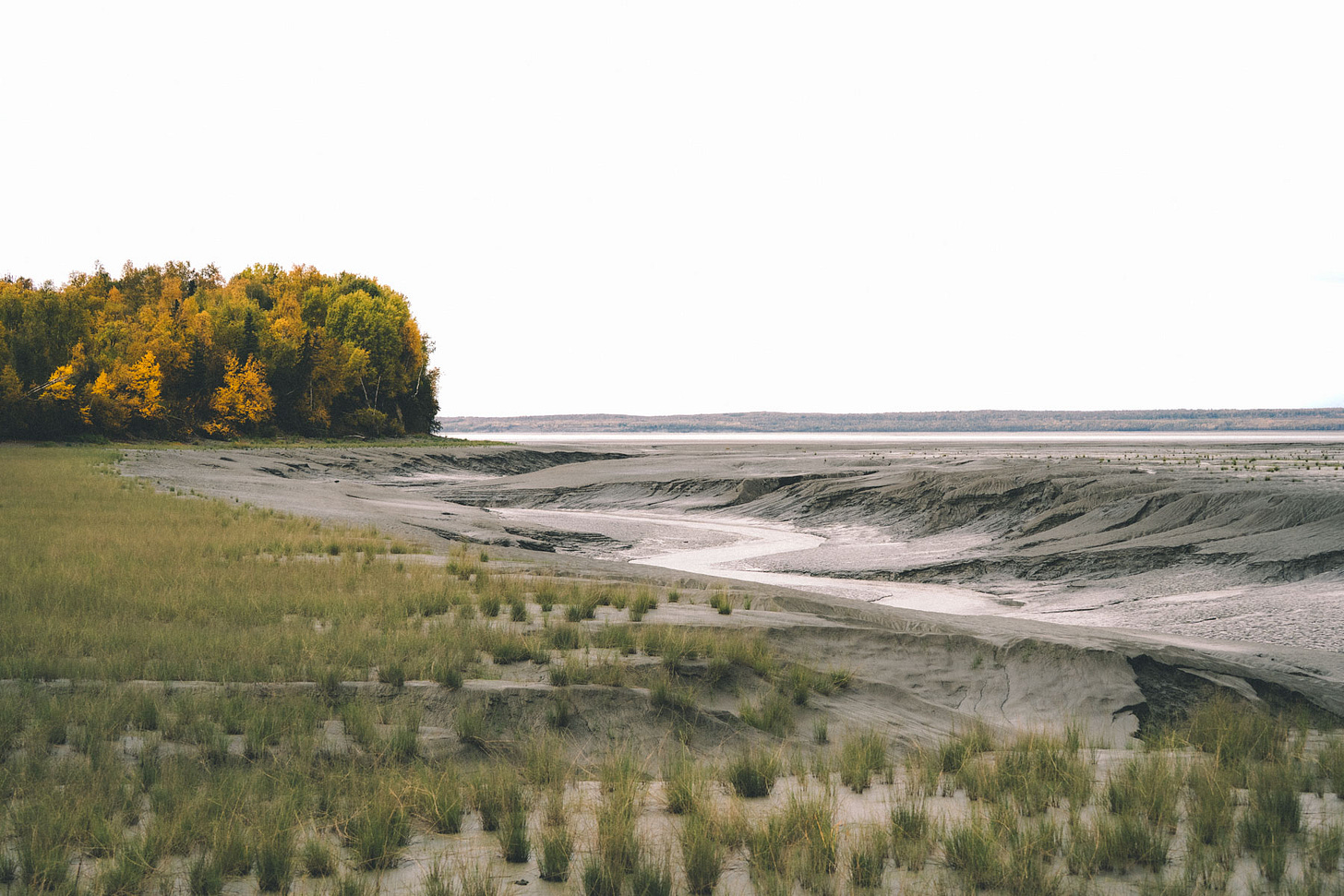 Beach view of Knik Arm, Alaska.