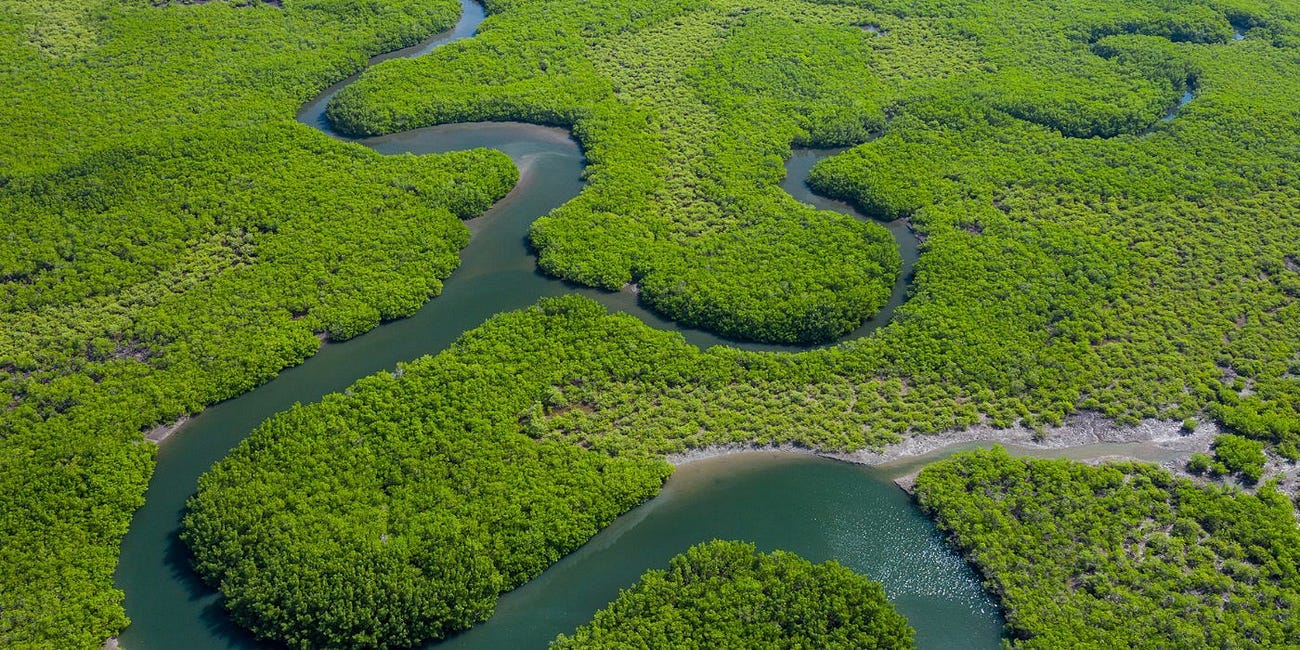 O Rio