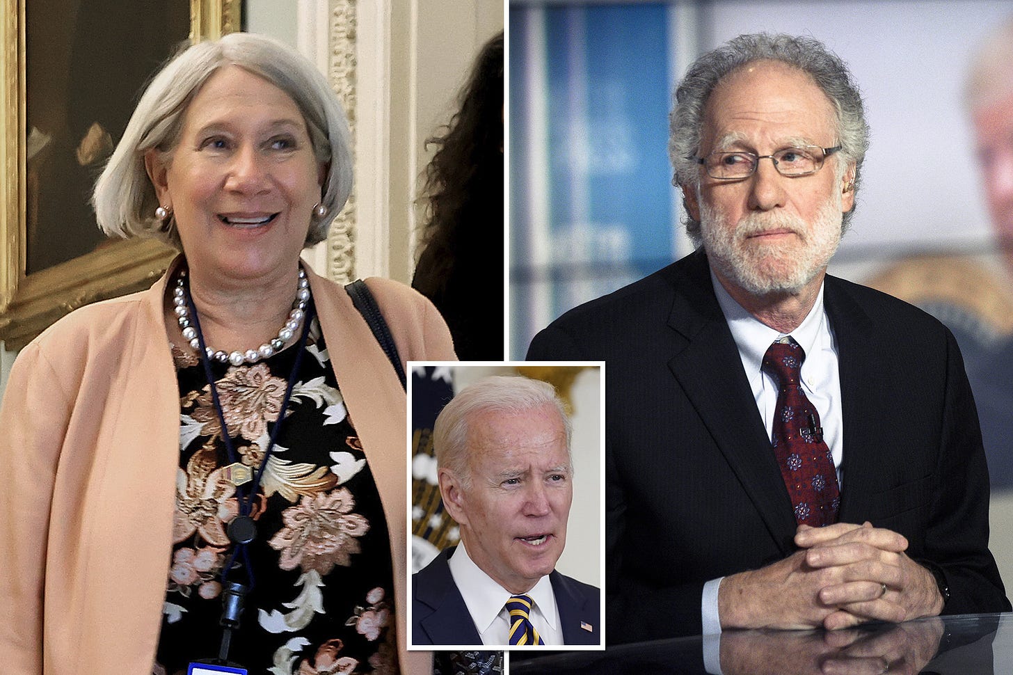 Biden aide Anita Dunn reveals conflicts of interest in multi-million dollar  fortune