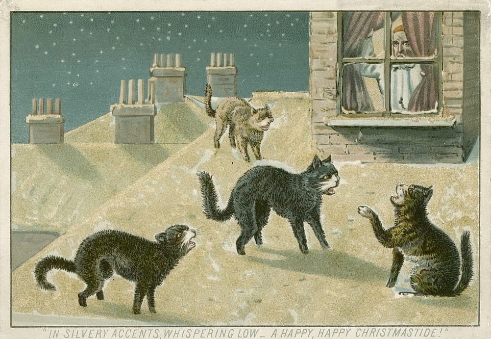 Four screeching cats annoy a min in his bedroom window in this unusual image made for a Christmas card in 1880