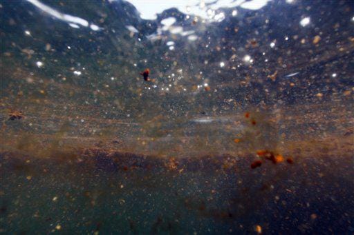 2010 'Deep Water Horizon' Oil Slick in Gulf of Mexico Viewed from Beneath It 2010 'Deep Water Horizon' Oil Slick in Gulf of Mexico Viewed from Beneath It