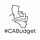 #CABudget info