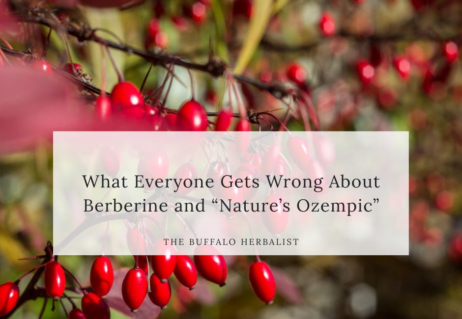 What Everyone Gets Wrong About Berberine and “Nature’s Ozempic”