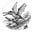 Rhamphorhynchus's avatar