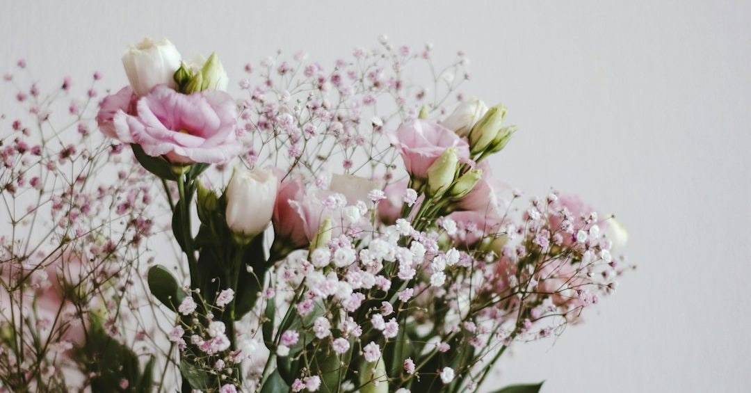 pink and white flowers on clear glass vase